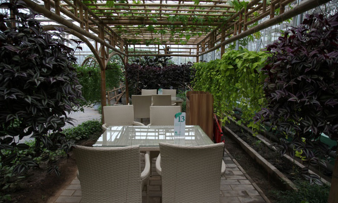 贺州康柏宇品牌文案撰写案例